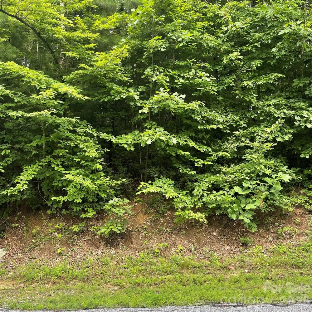 106 Red Mulberry Drive Zirconia, NC 28790