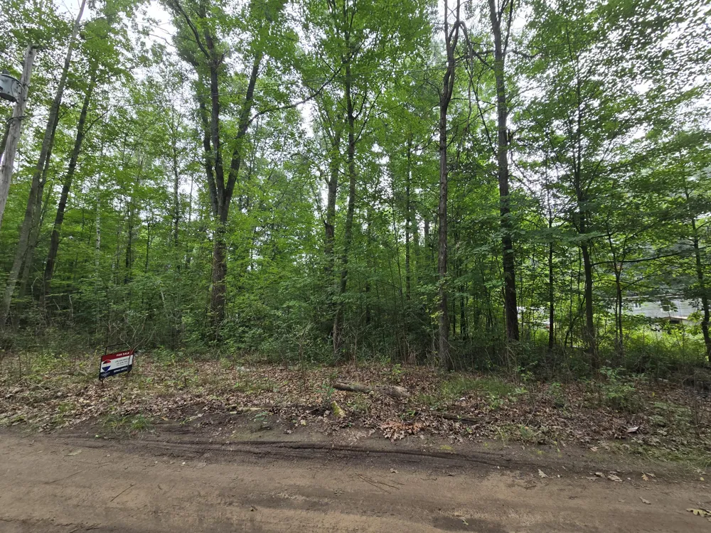 2928 3rd Street White Cloud, MI 49349