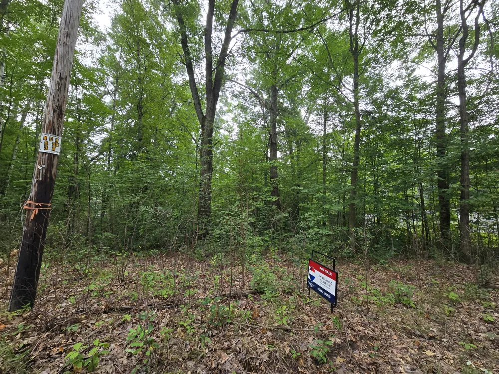 2928 3rd Street White Cloud, MI 49349