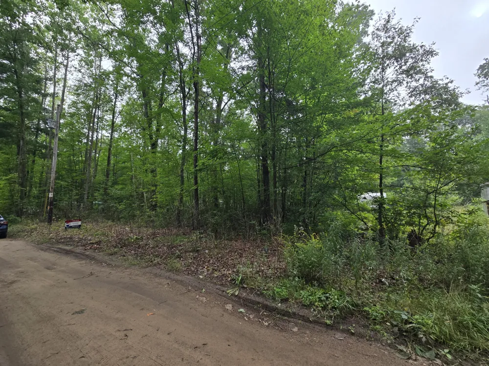 2928 3rd Street White Cloud, MI 49349