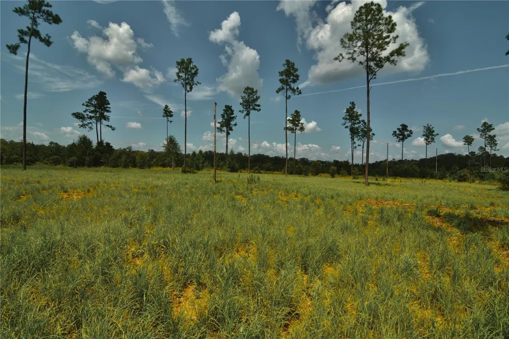 00 99TH LANE Live Oak, FL 32060
