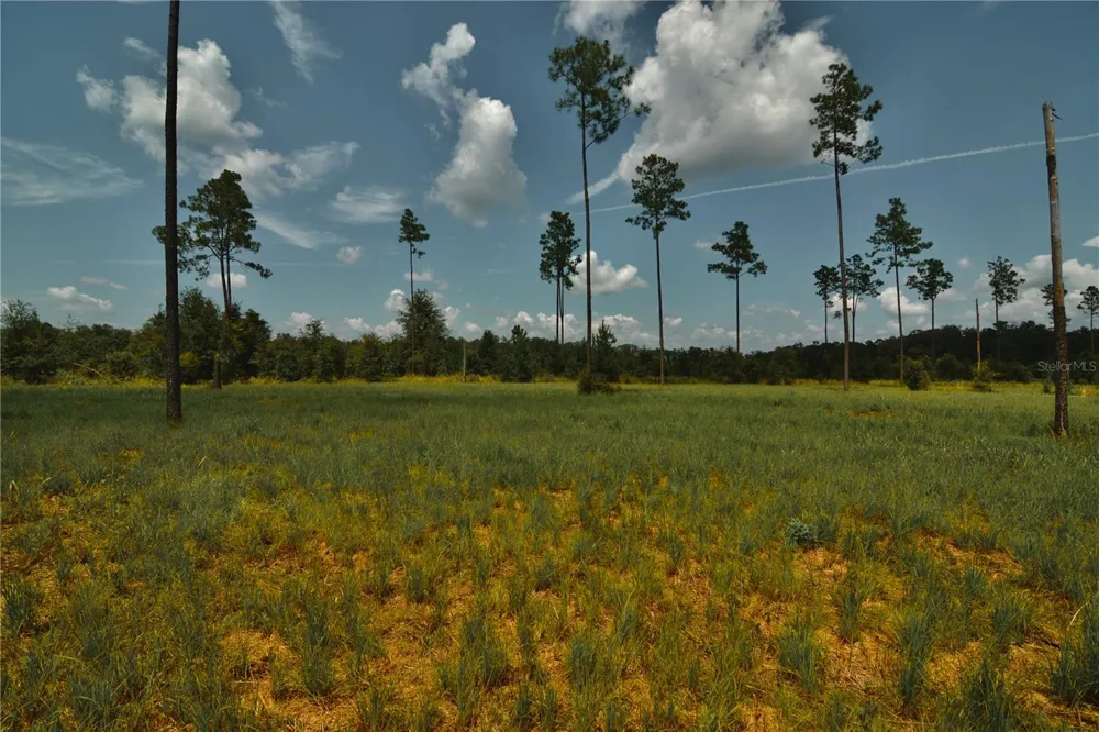 00 99TH LANE Live Oak, FL 32060