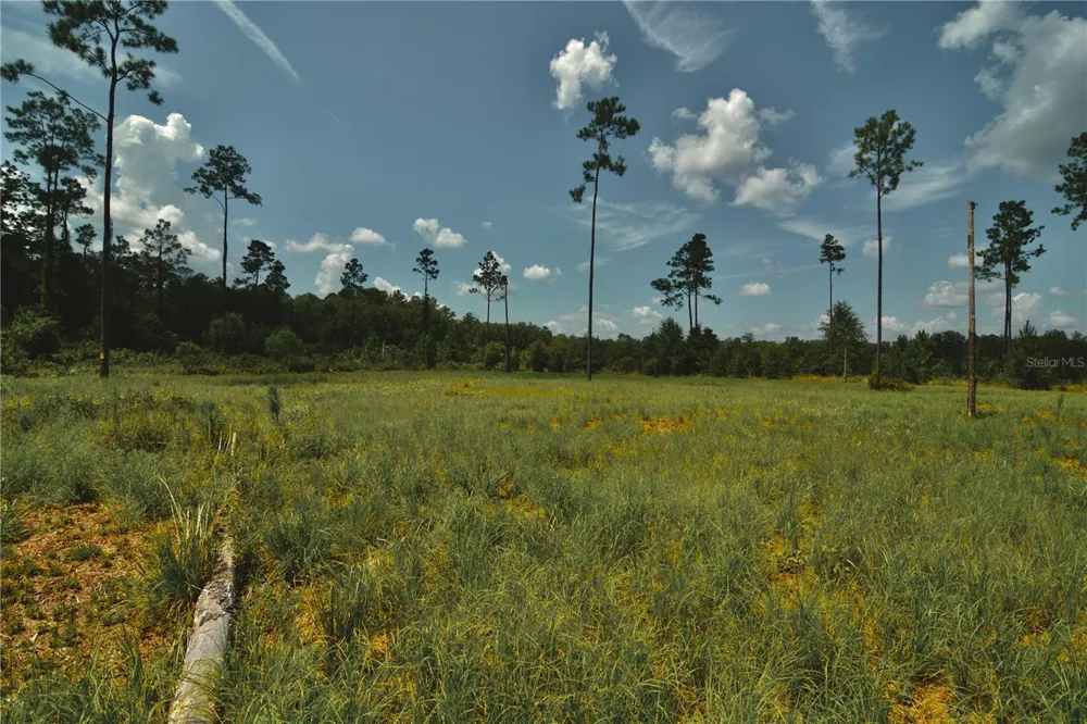 00 99TH LANE Live Oak, FL 32060