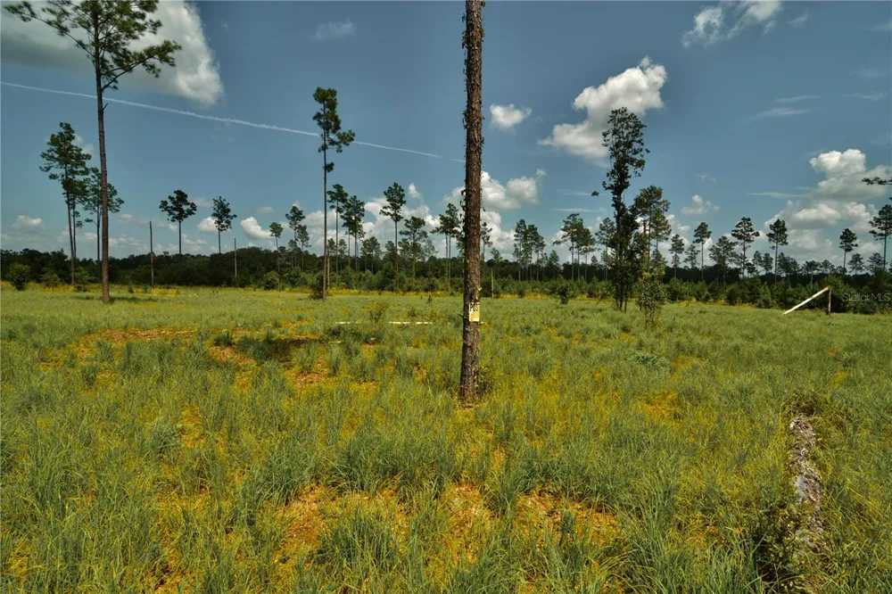 00 99TH LANE Live Oak, FL 32060