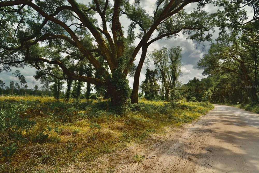 00 99TH LANE Live Oak, FL 32060