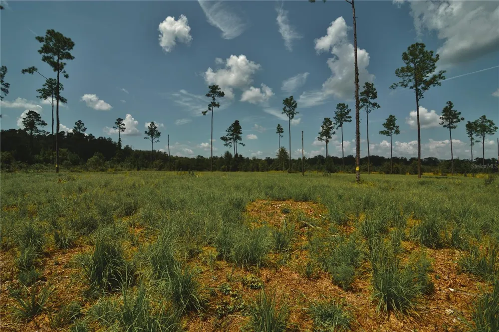 00 99TH LANE Live Oak, FL 32060