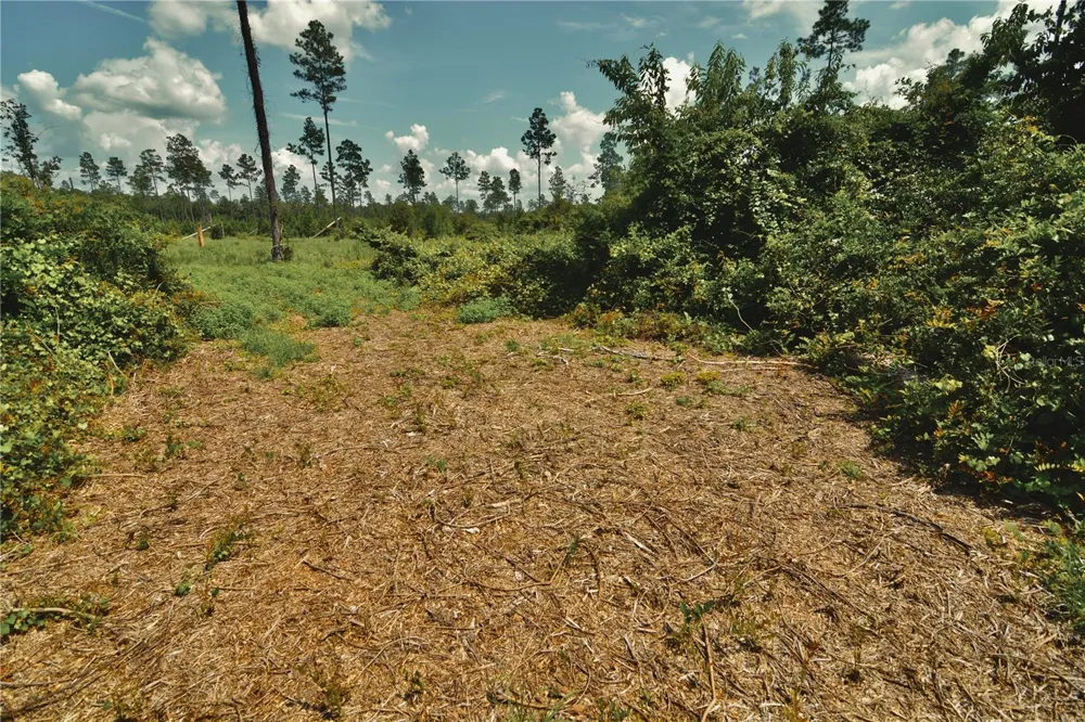 00 99TH LANE Live Oak, FL 32060