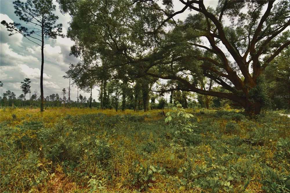 00 99TH LANE Live Oak, FL 32060