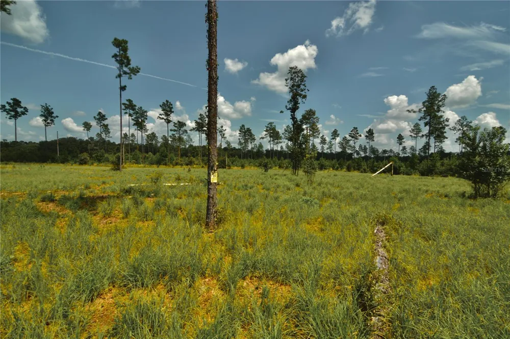 00 99TH LANE Live Oak, FL 32060