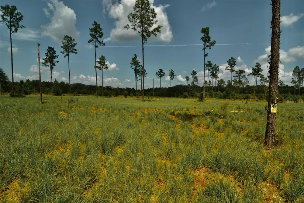 00 99TH LANE Live Oak, FL 32060