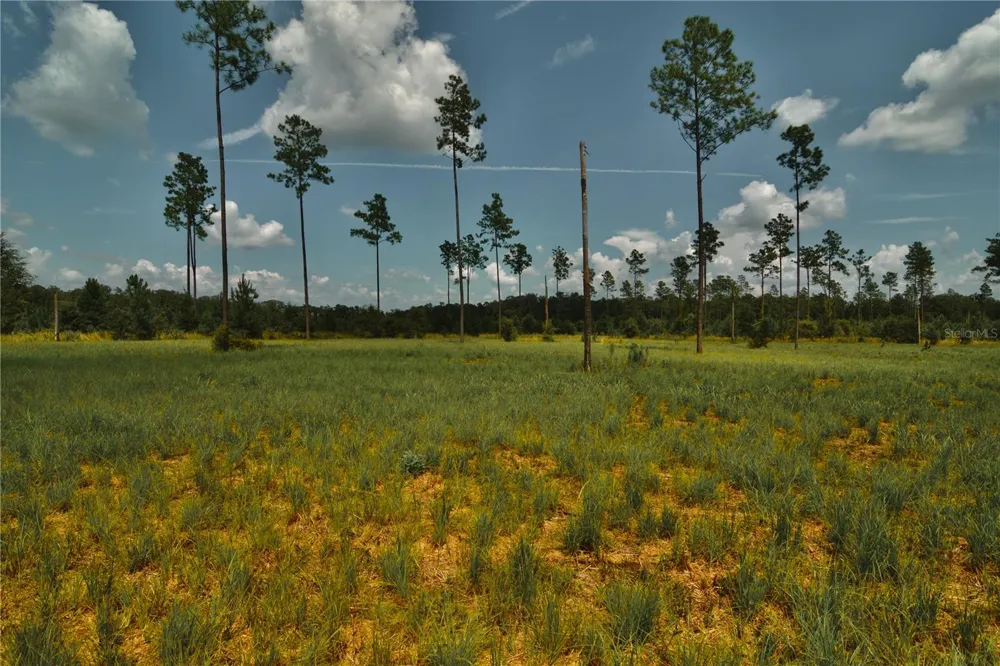 00 99TH LANE Live Oak, FL 32060