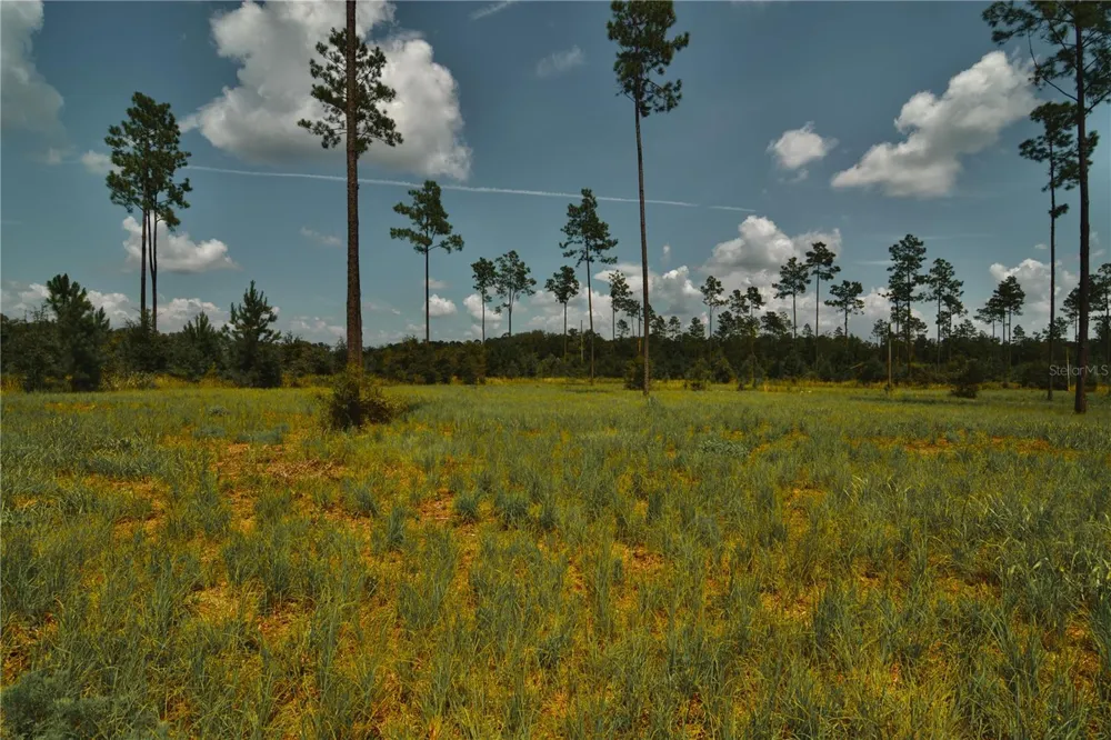 00 99TH LANE Live Oak, FL 32060