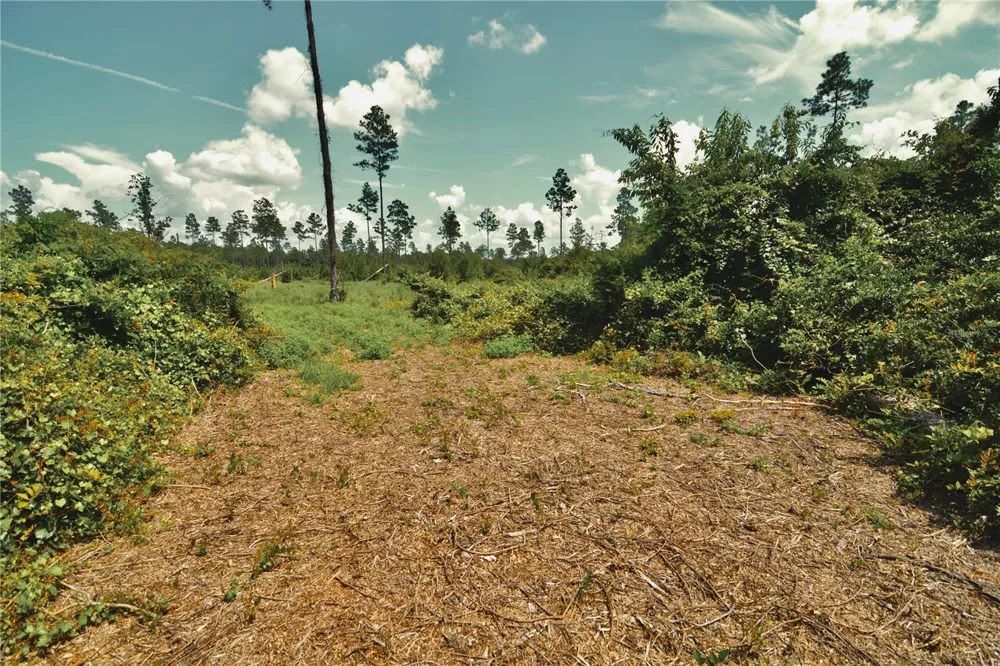 00 99TH LANE Live Oak, FL 32060