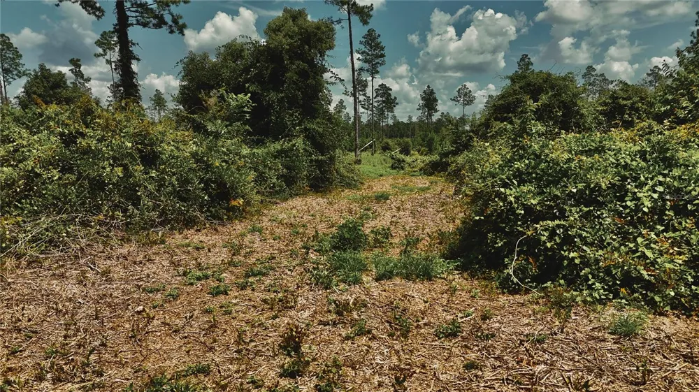 00 99TH LANE Live Oak, FL 32060