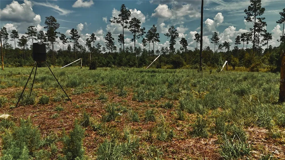 00 99TH LANE Live Oak, FL 32060