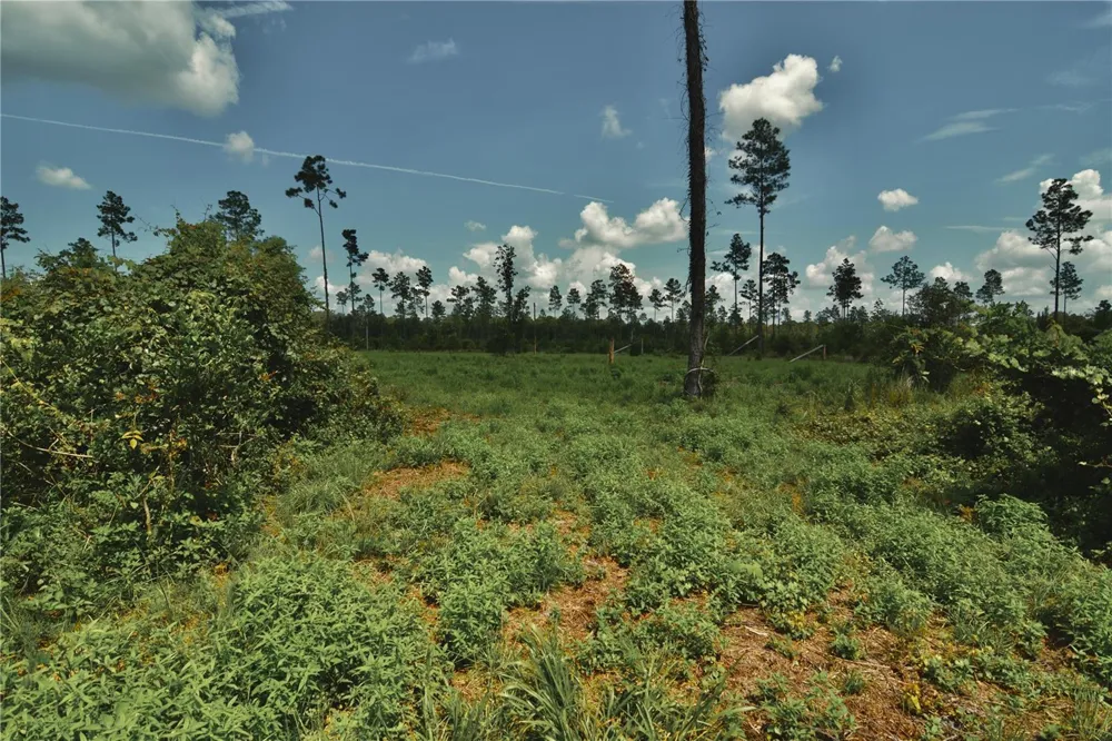 00 99TH LANE Live Oak, FL 32060