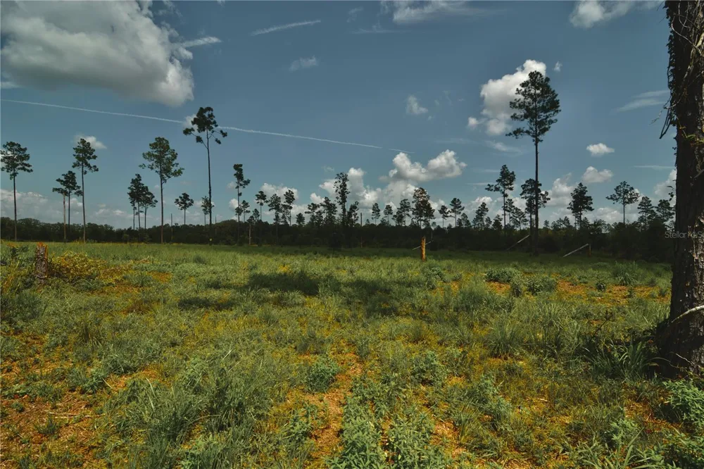 00 99TH LANE Live Oak, FL 32060