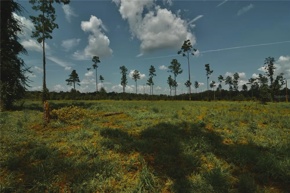 00 99TH LANE Live Oak, FL 32060