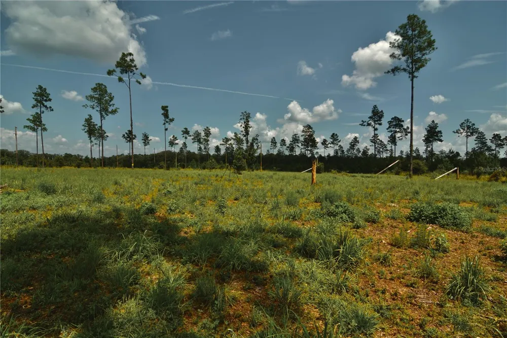 00 99TH LANE Live Oak, FL 32060