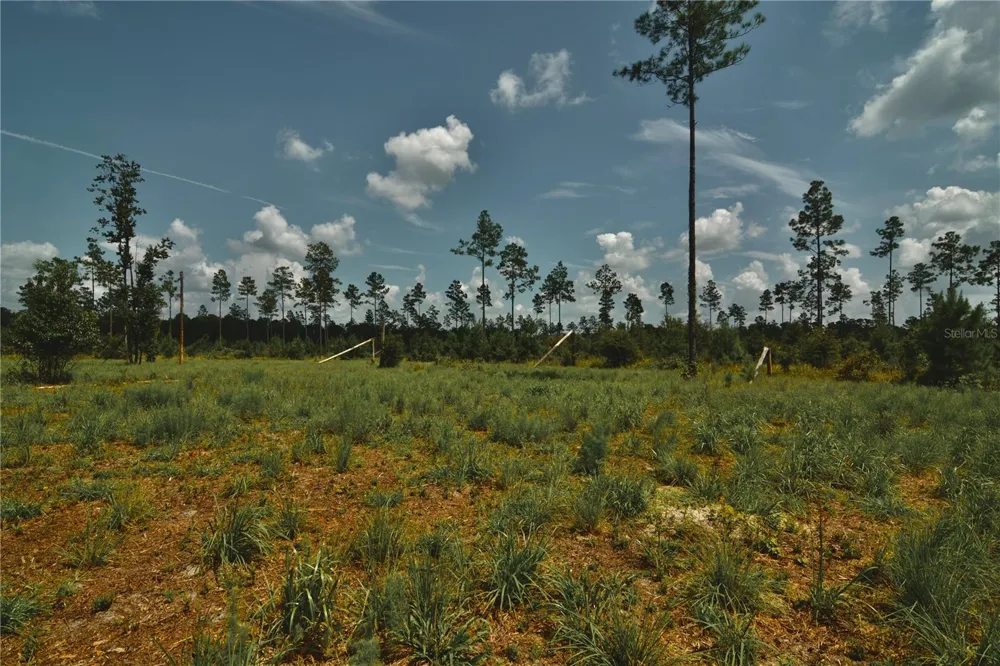 00 99TH LANE Live Oak, FL 32060