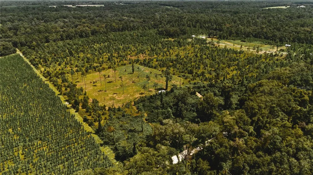 00 99TH LANE Live Oak, FL 32060