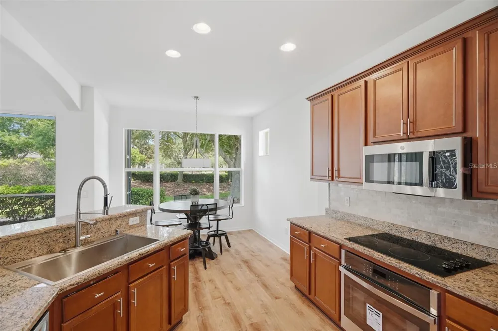 27325 MISTFLOWER DRIVE Wesley Chapel, FL 33544