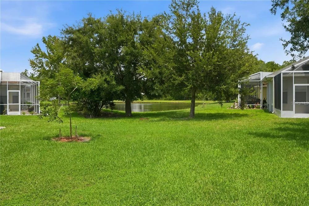 27325 MISTFLOWER DRIVE Wesley Chapel, FL 33544