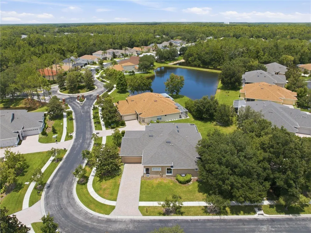 27325 MISTFLOWER DRIVE Wesley Chapel, FL 33544