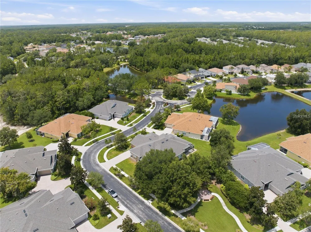 27325 MISTFLOWER DRIVE Wesley Chapel, FL 33544