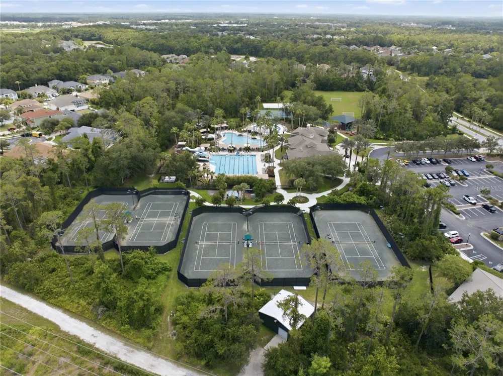27325 MISTFLOWER DRIVE Wesley Chapel, FL 33544