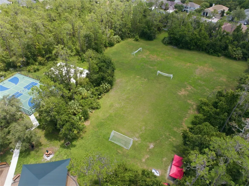 27325 MISTFLOWER DRIVE Wesley Chapel, FL 33544
