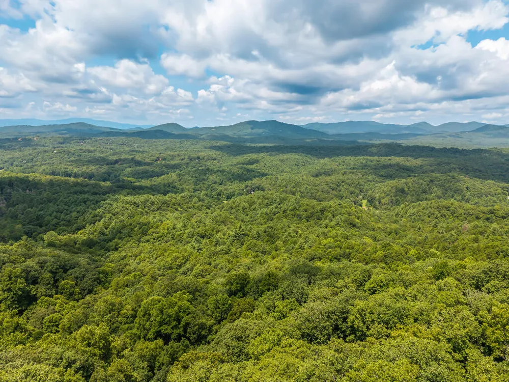 32 Raven Ridge Mineral Bluff, GA 30559