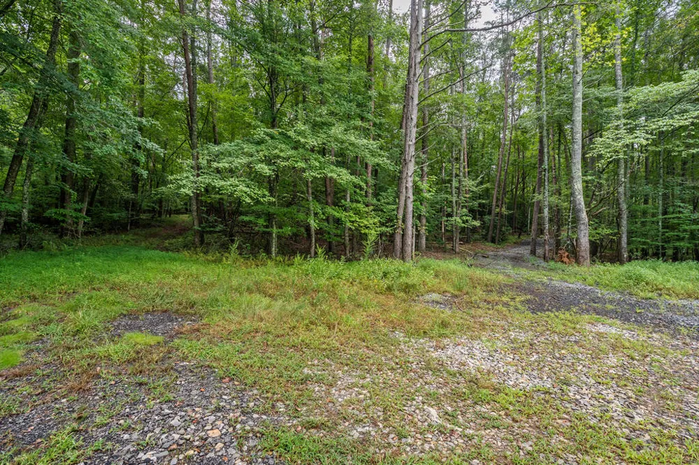 32 Raven Ridge Mineral Bluff, GA 30559