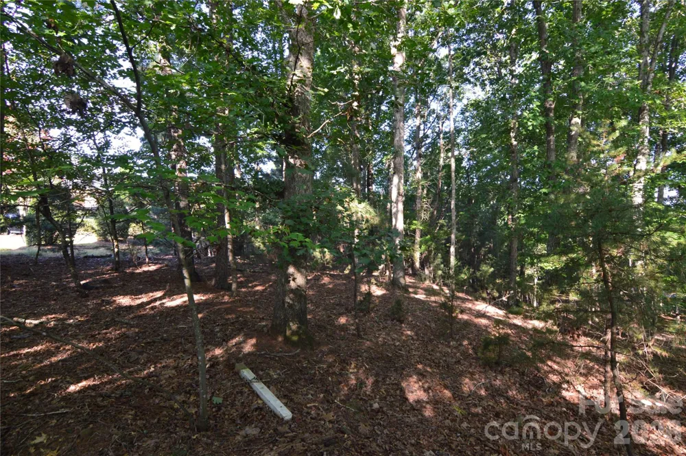 3036 Lake Pointe Drive #170 Belmont, NC 28012