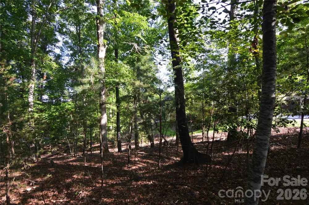 3036 Lake Pointe Drive #170 Belmont, NC 28012