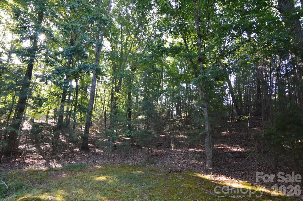 3036 Lake Pointe Drive #170 Belmont, NC 28012