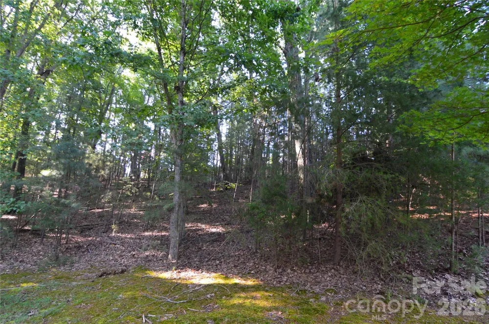 3036 Lake Pointe Drive #170 Belmont, NC 28012
