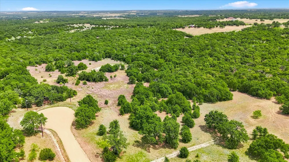 1150 DPS Tower Road Lot#50 Perrin, TX 76486