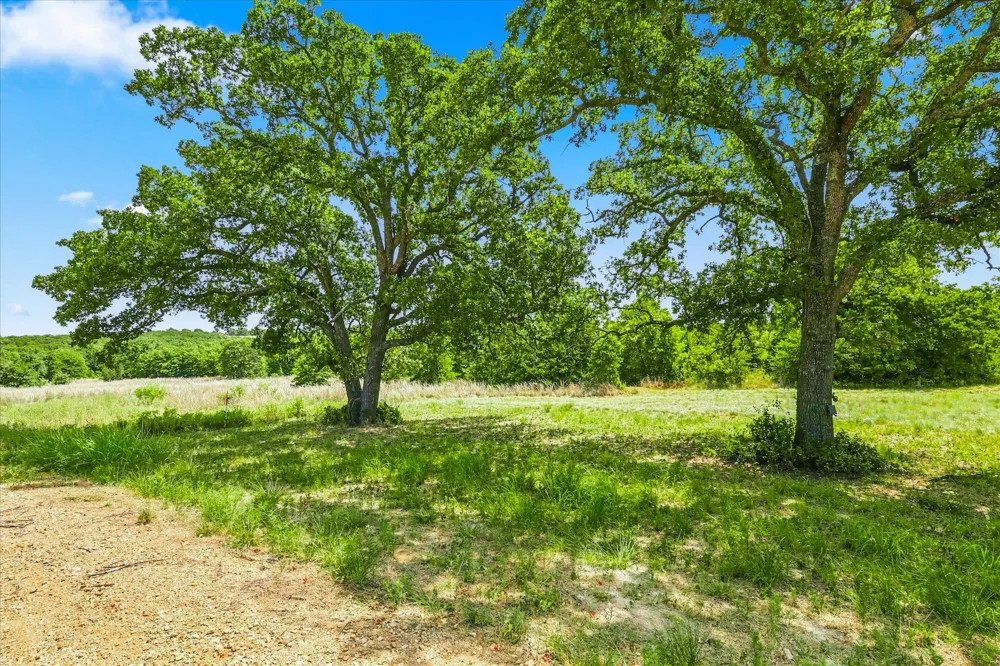 1150 DPS Tower Road Lot#50 Perrin, TX 76486
