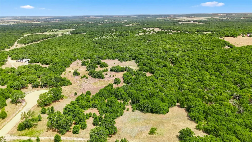 1150 DPS Tower Road Lot#50 Perrin, TX 76486