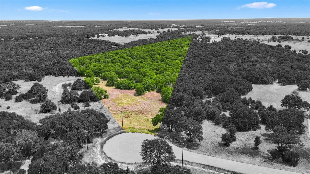 1150 DPS Tower Road Lot#50 Perrin, TX 76486