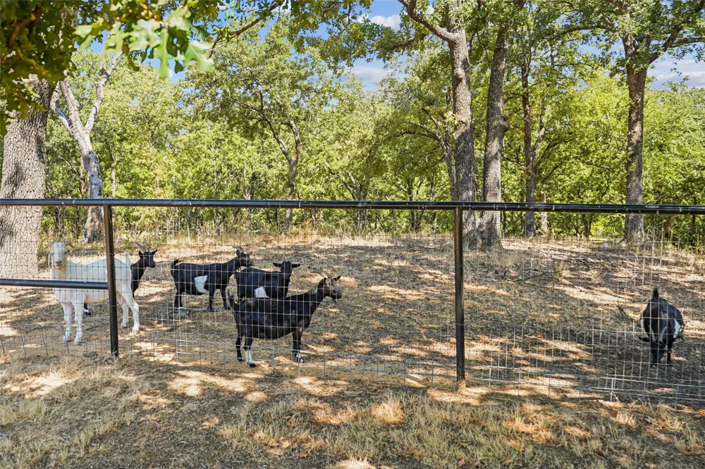 2380 W Sherman Drive Aubrey, TX 76227