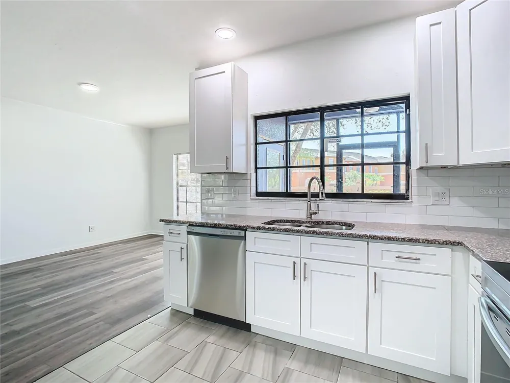 1019 BLACKWATER DRIVE Wesley Chapel, FL 33543