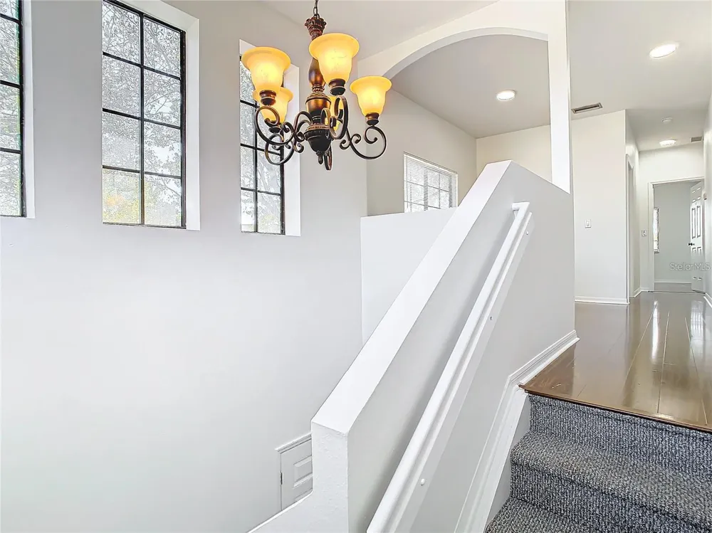 1019 BLACKWATER DRIVE Wesley Chapel, FL 33543