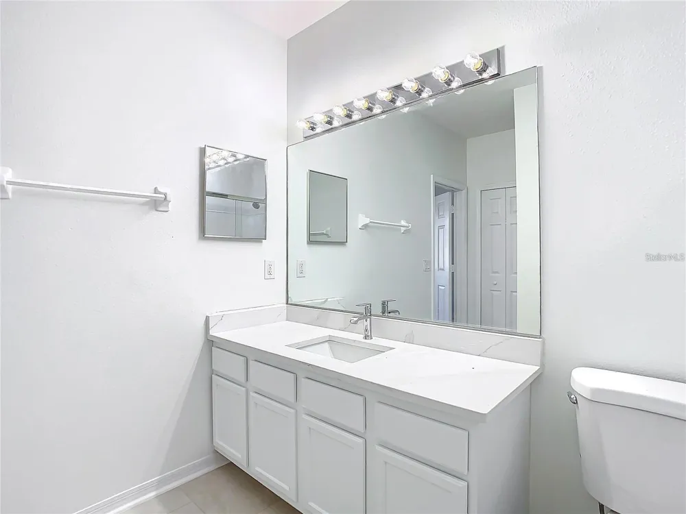 1019 BLACKWATER DRIVE Wesley Chapel, FL 33543