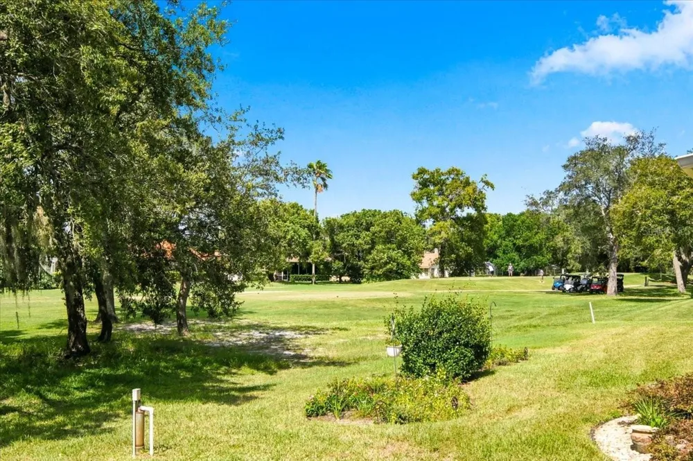 9251 GRAND CYPRESS DRIVE Weeki Wachee, FL 34613