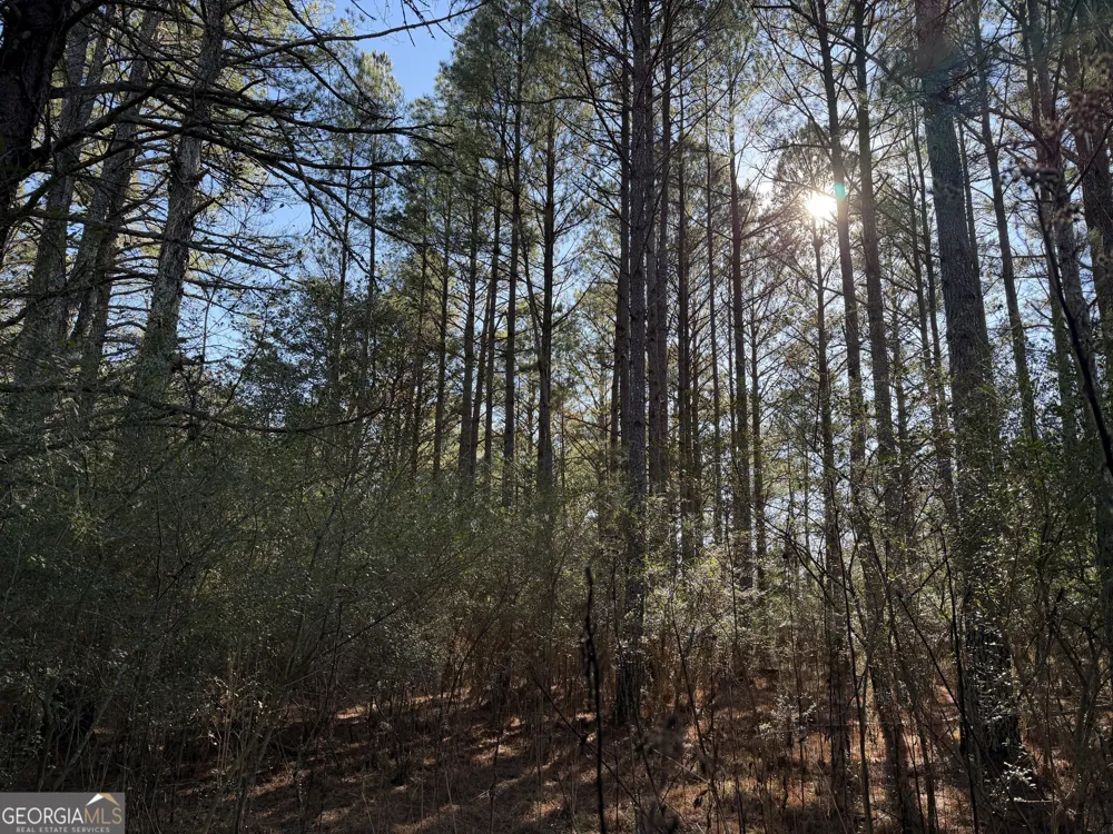 0 Liberty Church RD Ranger, GA 30734
