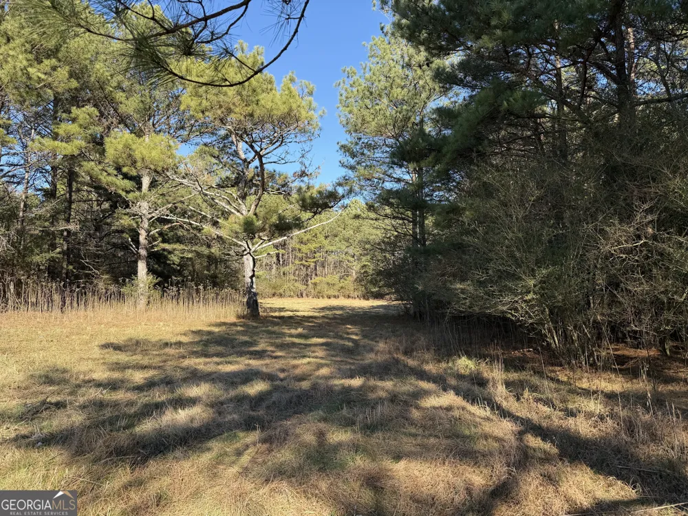 0 Liberty Church RD Ranger, GA 30734