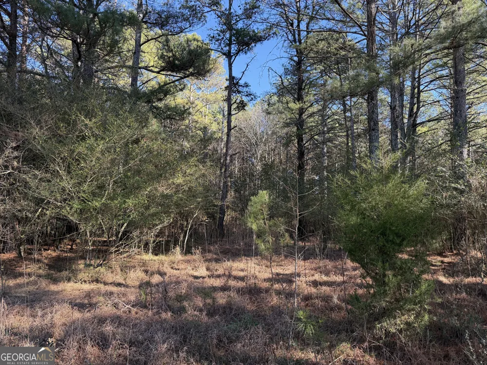 0 Liberty Church RD Ranger, GA 30734