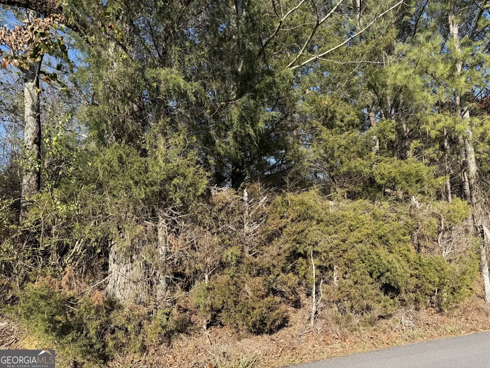 0 Liberty Church RD Ranger, GA 30734